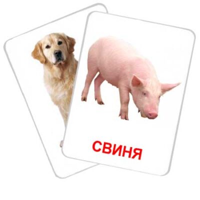 Картки Домана
